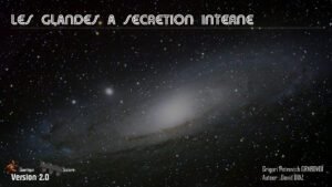 7 Les glandes a secretion interne grigori petrovich grabovoi
